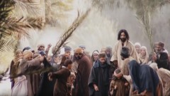 Ver Matthew 21:1-11 - Entry into Jerusalem  [bzj]